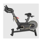 Kingsmith Spin Bisikleti – PB08S (12)