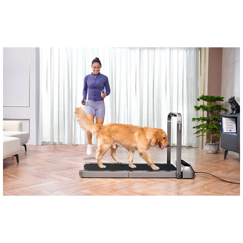 kingsmith-walking-pad-trr2f-r2-electric-treadmill (6)_kıbrıs