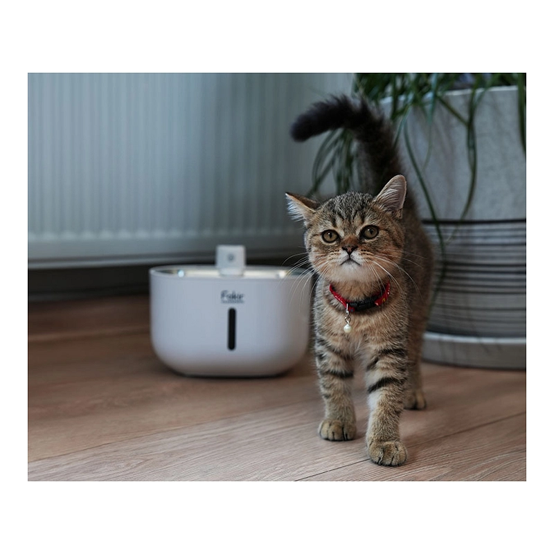 0012_feature-1766504198546_kıbrıs