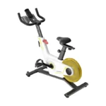 Kingsmith-spin-bike-pb08s-white-3_Kıbrıs