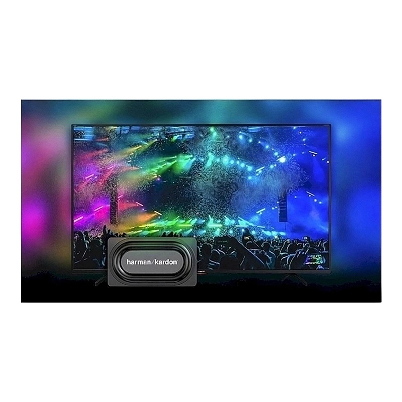 tv-tanitim-55bl3-10-1-1-2
